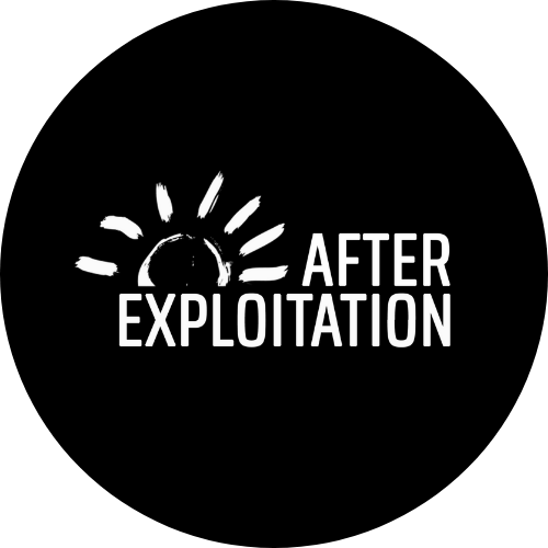 After Exploitation